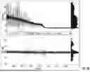 Fig. 06 - OMPG variants