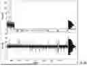 Fig. 09 - OMPG variants