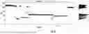 Fig. 18 - OMPG variants
