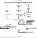 Fig. 02 - Compositions and related methods for modulating alkaloid production by controlling PMT promoter activation mediated by transcriptional factors ERF and Myc