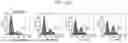 Fig. 25 - RECOMBINANT POLYPEPTIDES AND METHODS OF USE THEREOF