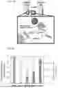 Fig. 02 - HYDROGELS CONTAINING AFFIBODIES AND USES THEREOF
