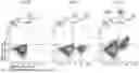 Fig. 03 - HYDROGELS CONTAINING AFFIBODIES AND USES THEREOF