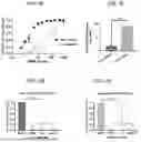 Fig. 06 - HYDROGELS CONTAINING AFFIBODIES AND USES THEREOF