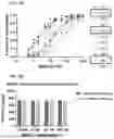 Fig. 07 - HYDROGELS CONTAINING AFFIBODIES AND USES THEREOF