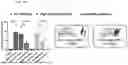 Fig. 16 - HYDROGELS CONTAINING AFFIBODIES AND USES THEREOF