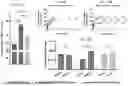 Fig. 19 - HYDROGELS CONTAINING AFFIBODIES AND USES THEREOF