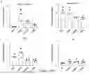 Fig. 17 - MODIFIED INTERLEUKIN 2 (IL-2) POLYPEPTIDES, AND METHODS OF MAKING AND USING THE SAME