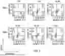 Fig. 04 - SYNOVIAL EXTRACELLULAR MATRIX-SPECIFIC CHIMERIC ANTIGEN RECEPTOR FOR TARGETING REGULATORY T CELLS TO TREAT AUTOIMMUNE DISEASES