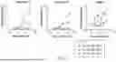 Fig. 06 - SYNOVIAL EXTRACELLULAR MATRIX-SPECIFIC CHIMERIC ANTIGEN RECEPTOR FOR TARGETING REGULATORY T CELLS TO TREAT AUTOIMMUNE DISEASES