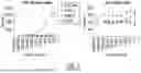 Fig. 08 - SYNOVIAL EXTRACELLULAR MATRIX-SPECIFIC CHIMERIC ANTIGEN RECEPTOR FOR TARGETING REGULATORY T CELLS TO TREAT AUTOIMMUNE DISEASES
