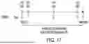 Fig. 28 - SYNOVIAL EXTRACELLULAR MATRIX-SPECIFIC CHIMERIC ANTIGEN RECEPTOR FOR TARGETING REGULATORY T CELLS TO TREAT AUTOIMMUNE DISEASES