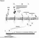 Fig. 04 - CHIMERIC SENSOR PROTEIN AND METHODS OF USE THEREOF