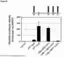 Fig. 07 - CHIMERIC SENSOR PROTEIN AND METHODS OF USE THEREOF