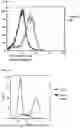Fig. 04 - IMMUNOMODULATORY COMPOSTIONS AND USE THEREOF