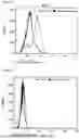 Fig. 06 - IMMUNOMODULATORY COMPOSTIONS AND USE THEREOF