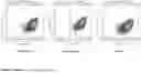 Fig. 22 - IMMUNOMODULATORY COMPOSTIONS AND USE THEREOF