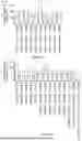 Fig. 06 - De-immunized factor VIII molecule and pharmaceutical compositions comprising the same