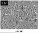 Fig. 14 - MULTISPECIFIC BINDING AGENTS AND USES THEREOF