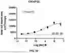 Fig. 18 - MULTISPECIFIC BINDING AGENTS AND USES THEREOF