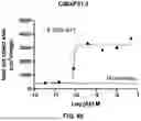 Fig. 24 - MULTISPECIFIC BINDING AGENTS AND USES THEREOF