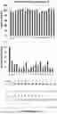 Fig. 12 - Expression System for Protein Production and Screening