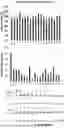 Fig. 14 - Expression System for Protein Production and Screening