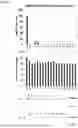 Fig. 15 - Expression System for Protein Production and Screening