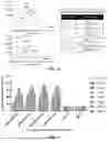 Fig. 06 - MULTISPECIFIC ANTIGEN BINDING PROTEIN