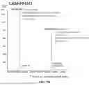 Fig. 09 - MULTISPECIFIC ANTIGEN BINDING PROTEIN