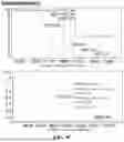 Fig. 12 - MULTISPECIFIC ANTIGEN BINDING PROTEIN
