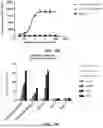Fig. 14 - MULTISPECIFIC ANTIGEN BINDING PROTEIN