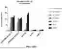 Fig. 15 - MULTISPECIFIC ANTIGEN BINDING PROTEIN