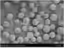 Fig. 01 - SOLID-PHASE SYNTHESIS CARRIER, PREPARATION METHOD THEREFOR AND USE THEREOF