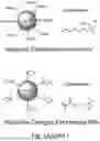 Fig. 03 - CHARGED SURFACTANT PARTICLES AND BRUSH POLYMERIC PARTICLES, METHODS OF MAKING SAME, AND USES THEREOF