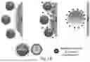 Fig. 04 - CHARGED SURFACTANT PARTICLES AND BRUSH POLYMERIC PARTICLES, METHODS OF MAKING SAME, AND USES THEREOF