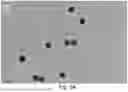 Fig. 05 - CHARGED SURFACTANT PARTICLES AND BRUSH POLYMERIC PARTICLES, METHODS OF MAKING SAME, AND USES THEREOF