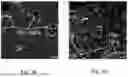 Fig. 07 - CHARGED SURFACTANT PARTICLES AND BRUSH POLYMERIC PARTICLES, METHODS OF MAKING SAME, AND USES THEREOF