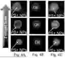 Fig. 09 - CHARGED SURFACTANT PARTICLES AND BRUSH POLYMERIC PARTICLES, METHODS OF MAKING SAME, AND USES THEREOF