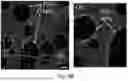 Fig. 12 - CHARGED SURFACTANT PARTICLES AND BRUSH POLYMERIC PARTICLES, METHODS OF MAKING SAME, AND USES THEREOF