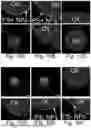 Fig. 16 - CHARGED SURFACTANT PARTICLES AND BRUSH POLYMERIC PARTICLES, METHODS OF MAKING SAME, AND USES THEREOF