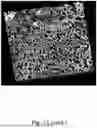 Fig. 21 - CHARGED SURFACTANT PARTICLES AND BRUSH POLYMERIC PARTICLES, METHODS OF MAKING SAME, AND USES THEREOF