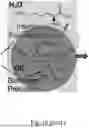 Fig. 24 - CHARGED SURFACTANT PARTICLES AND BRUSH POLYMERIC PARTICLES, METHODS OF MAKING SAME, AND USES THEREOF