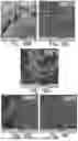 Fig. 28 - CHARGED SURFACTANT PARTICLES AND BRUSH POLYMERIC PARTICLES, METHODS OF MAKING SAME, AND USES THEREOF