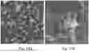 Fig. 30 - CHARGED SURFACTANT PARTICLES AND BRUSH POLYMERIC PARTICLES, METHODS OF MAKING SAME, AND USES THEREOF