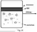 Fig. 35 - CHARGED SURFACTANT PARTICLES AND BRUSH POLYMERIC PARTICLES, METHODS OF MAKING SAME, AND USES THEREOF