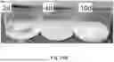 Fig. 44 - CHARGED SURFACTANT PARTICLES AND BRUSH POLYMERIC PARTICLES, METHODS OF MAKING SAME, AND USES THEREOF