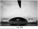Fig. 46 - CHARGED SURFACTANT PARTICLES AND BRUSH POLYMERIC PARTICLES, METHODS OF MAKING SAME, AND USES THEREOF