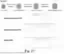 Fig. 50 - CHARGED SURFACTANT PARTICLES AND BRUSH POLYMERIC PARTICLES, METHODS OF MAKING SAME, AND USES THEREOF