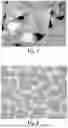Fig. 06 - PRODUCTION TOOL TO MAKE ABRASIVE PARTICLES WITH GROOVES